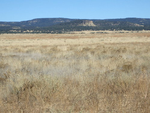 GDMBR: A mesa stands to the west.